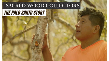 The Palo Santo Collectors