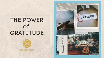 The Power of Gratitude