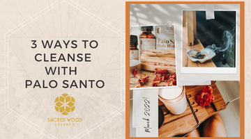 3 Ways to Cleanse With Palo Santo
