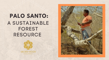 Palo Santo: A Sustainable Forest Resource