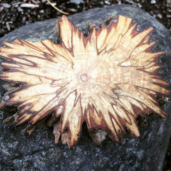 Palo Santo Altar Pieces