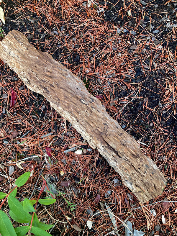 Palo Santo Log